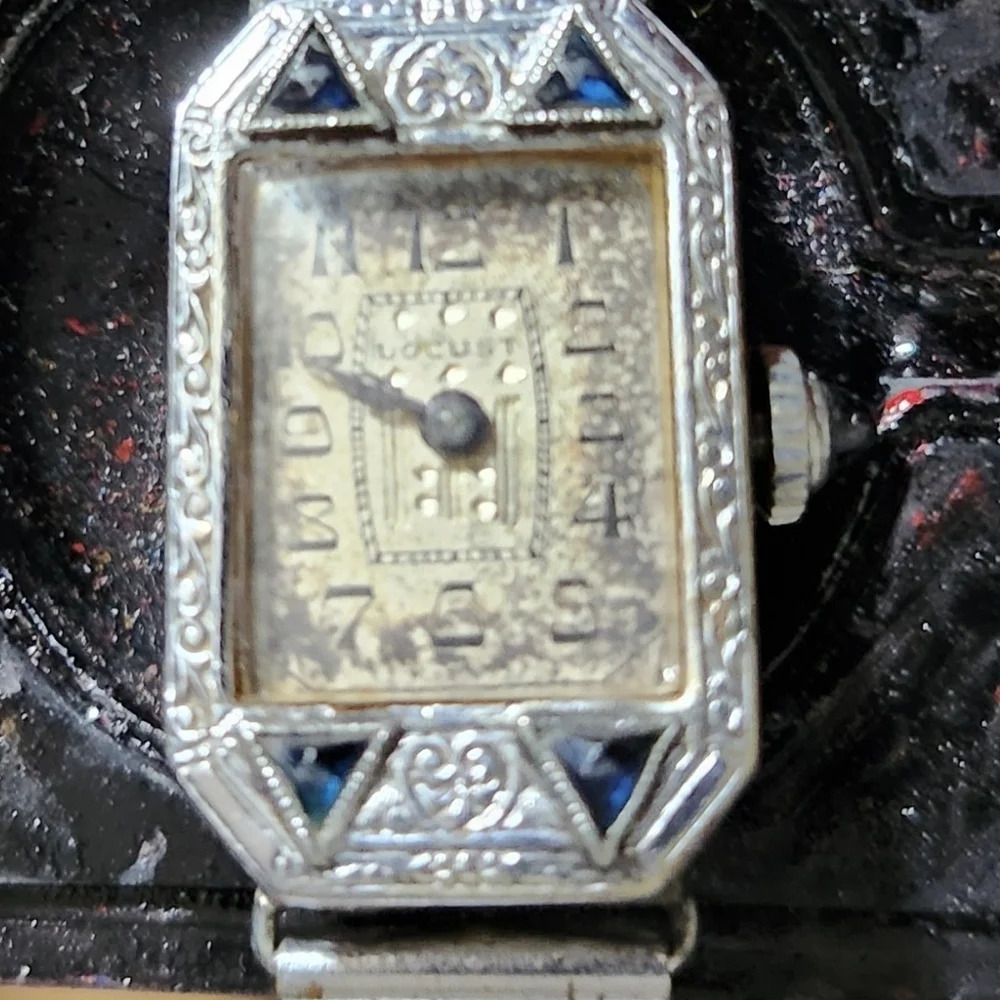 Rare Vintage 20s Locust Womens Art Deco Watch